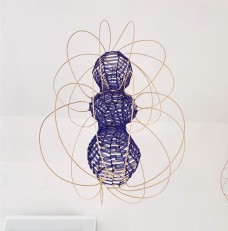 /userimg/Jye7J/8 Braun_Clione.jpg